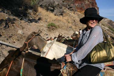 Wendy Johnson Greece